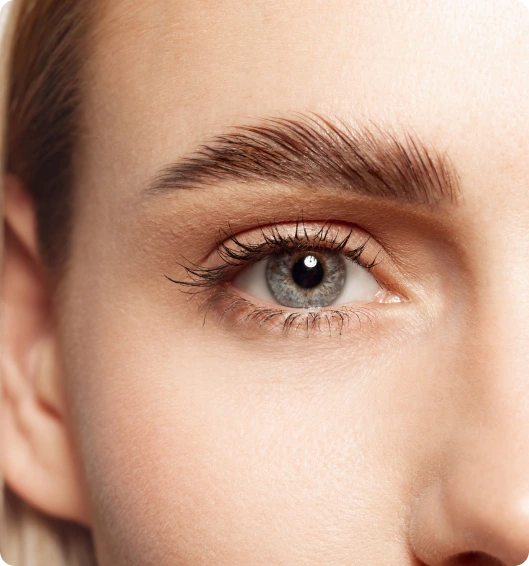 Springfield, MO Brow Lift: Ideal Candidate for Brow Lift Surgery Banner
